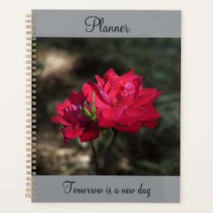 Planejador Rosa Vermelha