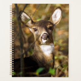 Planejador Semanal/Mensal De Veado Branco