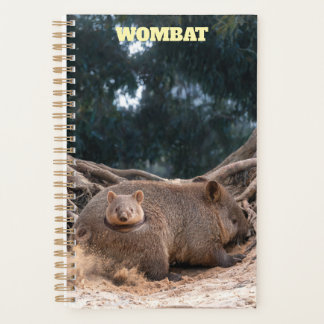 Planejador Wombat 2027