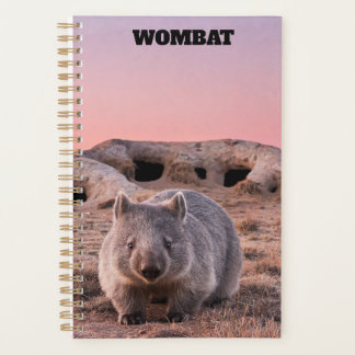 Planejador Wombat 2027