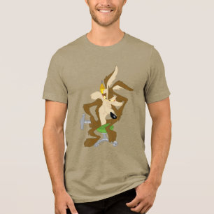 Planejamento do WILE E. COYOTE™