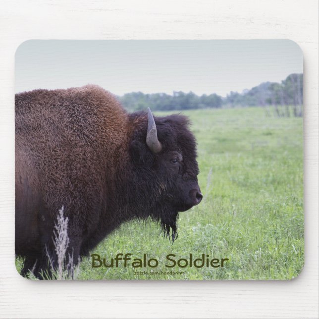 Planície Americana Buffalo Bison Mousepad (Frente)