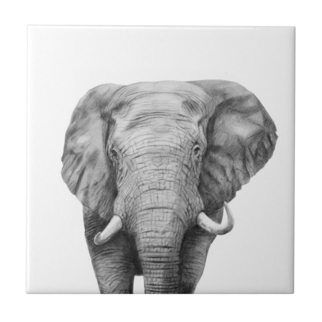 Plano de backup IV (Frente)