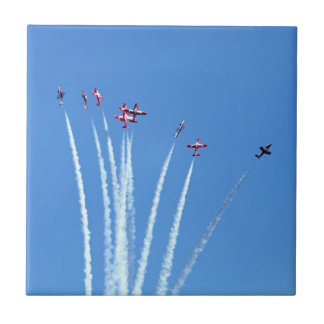 Planos canadenses dos Snowbirds