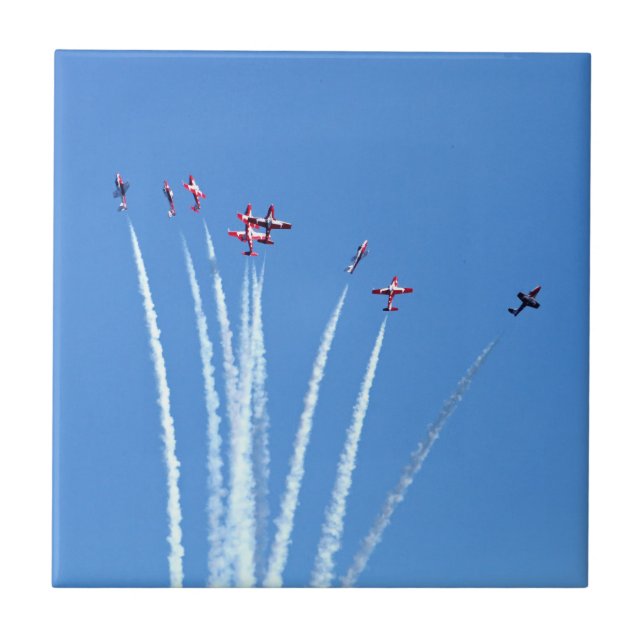 Planos canadenses dos Snowbirds (Frente)