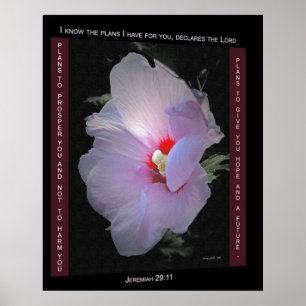 Planos Poster