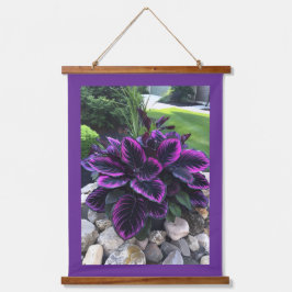 Planta Coleus