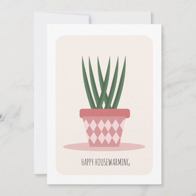 Planta de Aloe em vaso para festa de casa nova  (Frente)