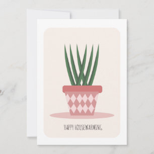 Planta de Aloe em vaso para festa de casa nova