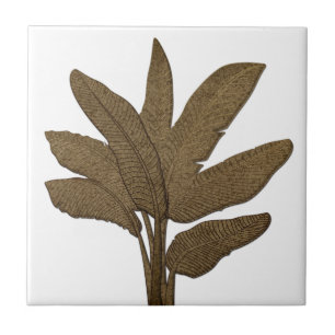 Planta De Banana De Olho Cobre Folha Branca