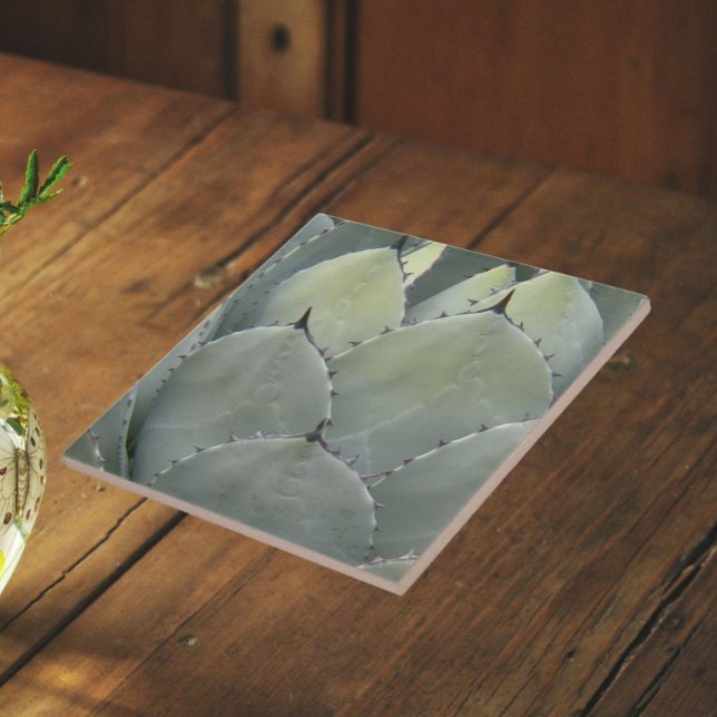 Planta de Cactus Agave Estilo Sudoeste (In Situ (Angled))
