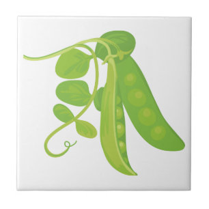 Planta De Ervilha