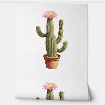 Planta do Deserto de Cactus com Flor