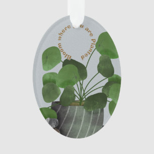 Planta do Dinheiro Minimalista - Ornamento Oval de