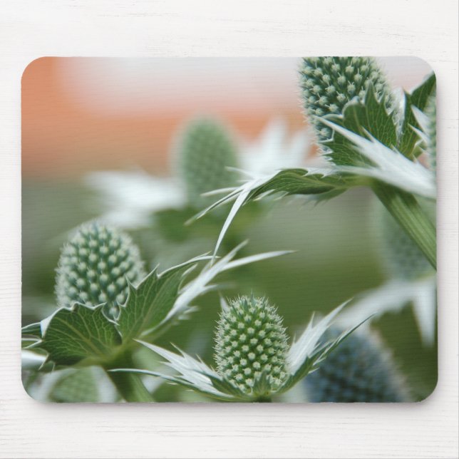 Planta legal Mousepad (Frente)