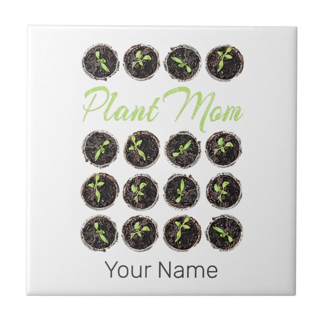 Planta Mãe Jardim Flor Jardineiro Jardineiro Jardi (Frente)