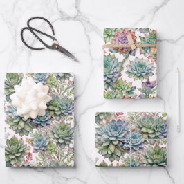 Planta Suculenta e Cacto em Aquarela Elegante