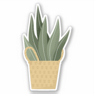 Planta verde em vaso numa caixa adesivo transparen