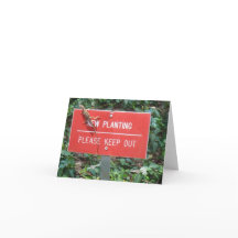 Plantação nova com o cartão de nota do geco