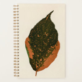 Plantas Botânicas Organizador de Pais Mãe