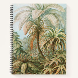 Plantas Botânicas Vintage