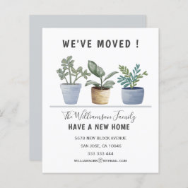 Plantas com orçamento plantado que mudamos de anún