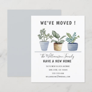 Plantas com orçamento plantado que mudamos de anún