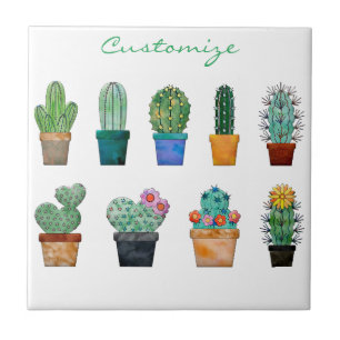 Plantas De Cactus Associadas Thunder_Cove