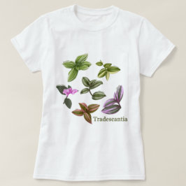 Plantas de camiseta Tradescantia