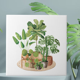 Plantas de Casa Aquarela