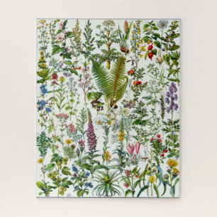 Plantas medicinais - Quebra-cabeça de serra
