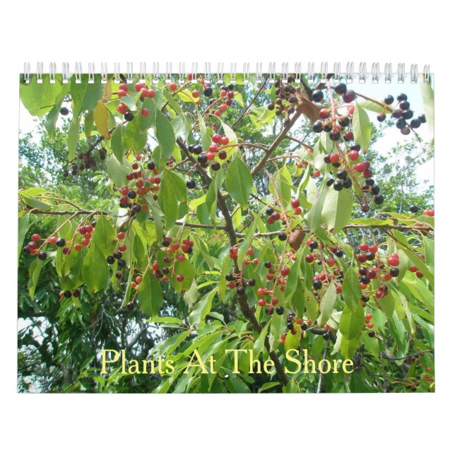 Plantas no Calendário Shore (Capa)
