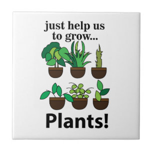 Plantas Nos Ajudam A Cultivar Plantas