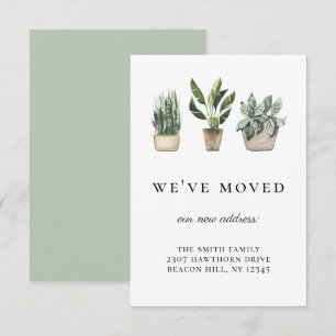 Plantas Potentes Rústicas Nós Mudamos Anúncio