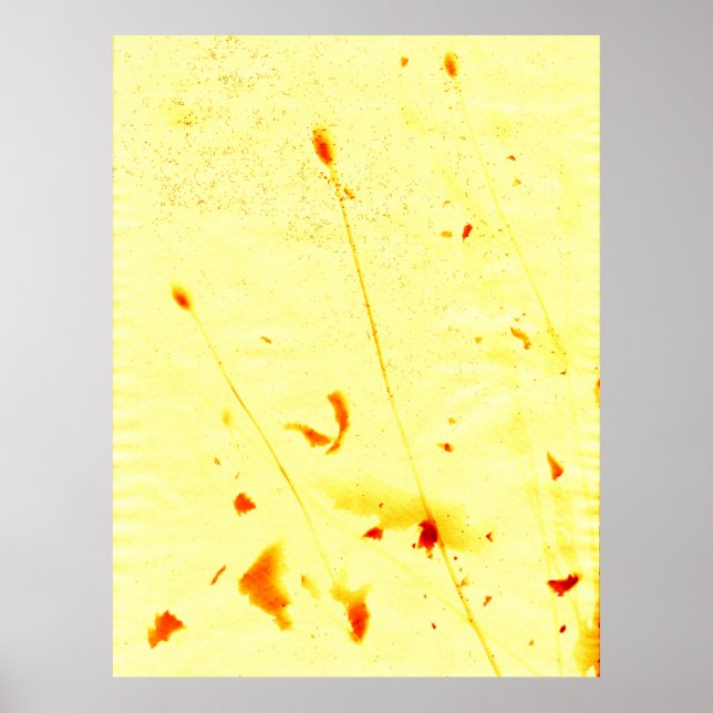 Plantas secas e sementes, Poster de impressão sola (Frente)