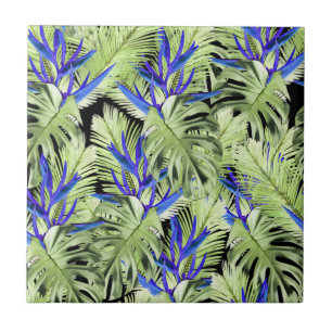 Plantas tropicais 2.