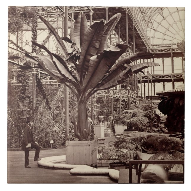 Plantas tropicais na sala egípcia, Pala de cristal (Frente)