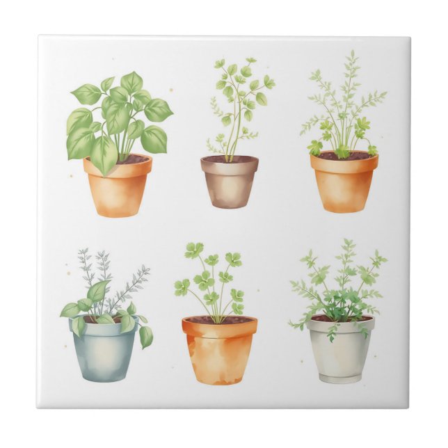 Plantas Vedadas por Aquarela em Fundo de Creme (Frente)
