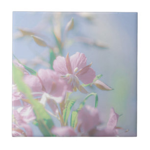 Plantas Verdes do Céu Azul Deixam Flores Roxas