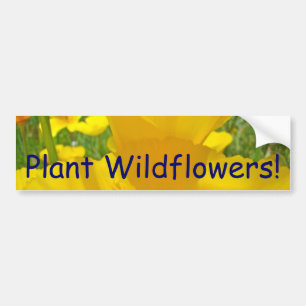 Plante Flores Silvestres! adesivos para para-choqu