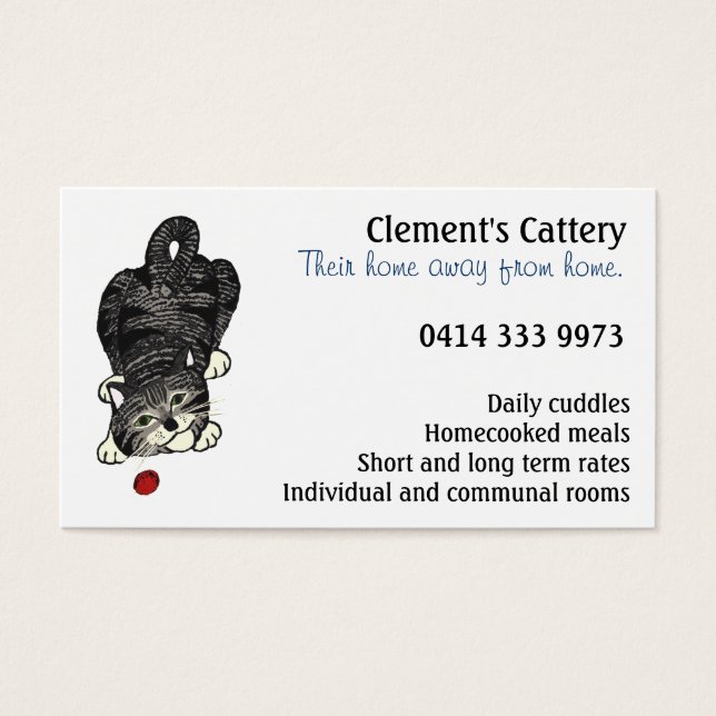 Playful Tabby Kitten (Frente)