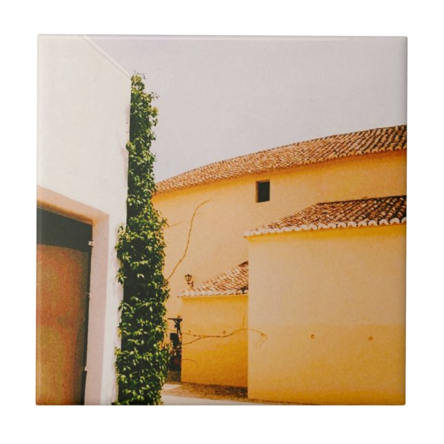 Plaza de Toros de Ronda - Andaluzia - Espanha (Frente)