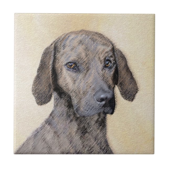 Plott Painting - Arte de Cachorro Original (Frente)