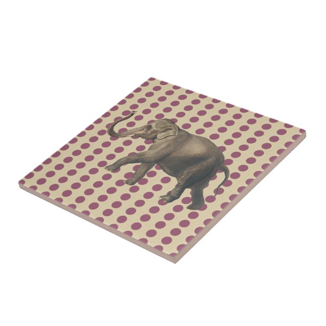 Plum Spice Moods Dots com Elefante (Lateral)