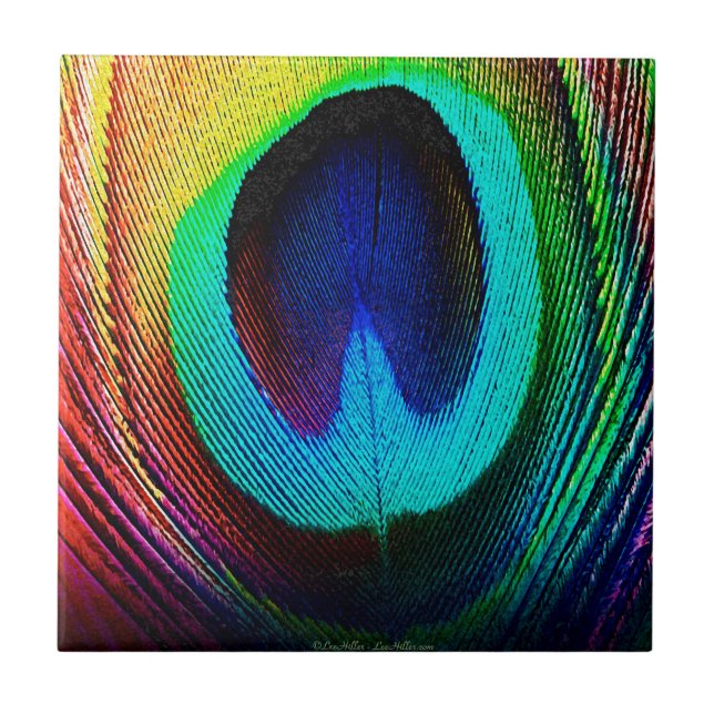 Pluma de Pavão Vibrante (Frente)