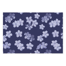 Plumbago Flores azuis