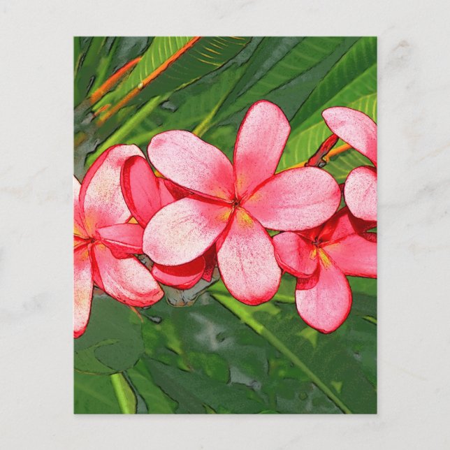 Plumeria (Frente)