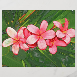 Plumeria