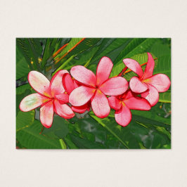 Plumeria