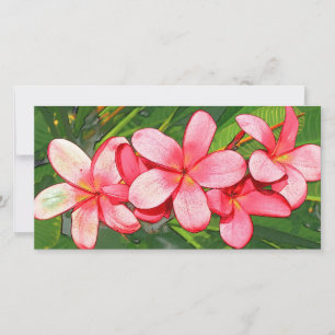plumeria